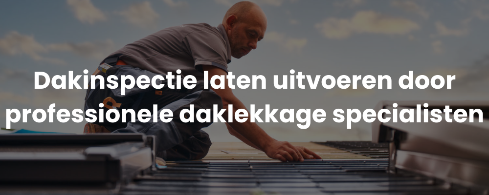 Dakinspectie laten uitvoeren door professionele daklekkage specialisten