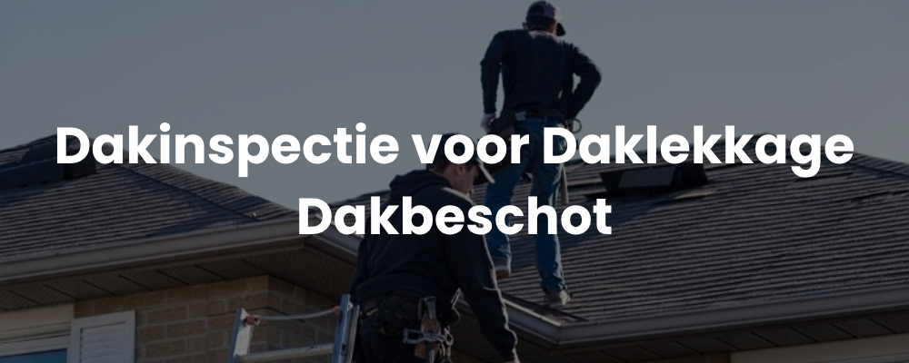 Dakinspectie voor Daklekkage Dakbeschot