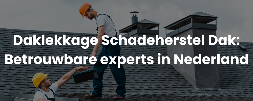 Daklekkage Schadeherstel Dak: Betrouwbare experts in Nederland
