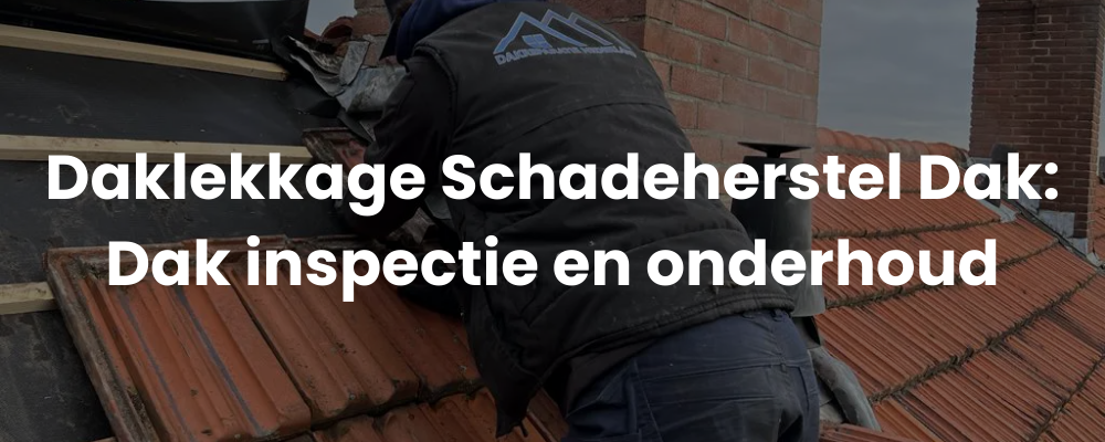 Daklekkage Schadeherstel Dak: Dak inspectie en onderhoud