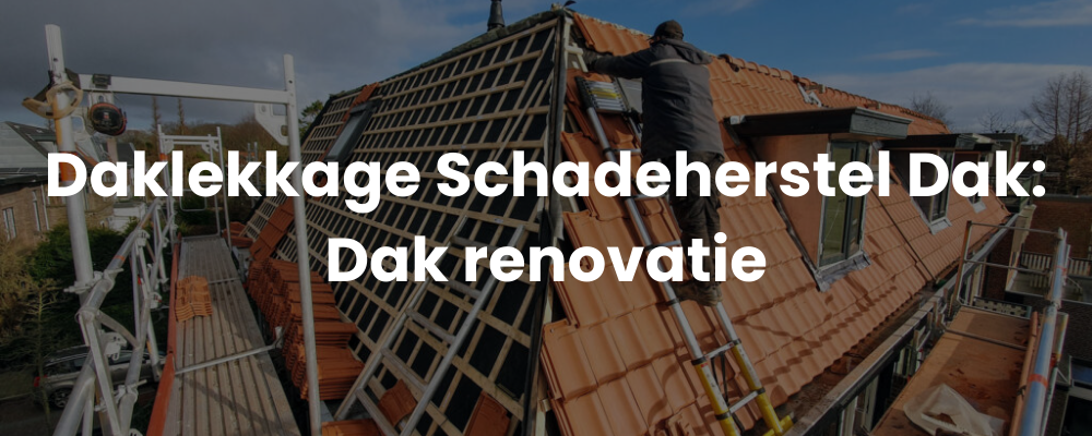 Daklekkage Schadeherstel Dak: Dak inspectie en onderhoud