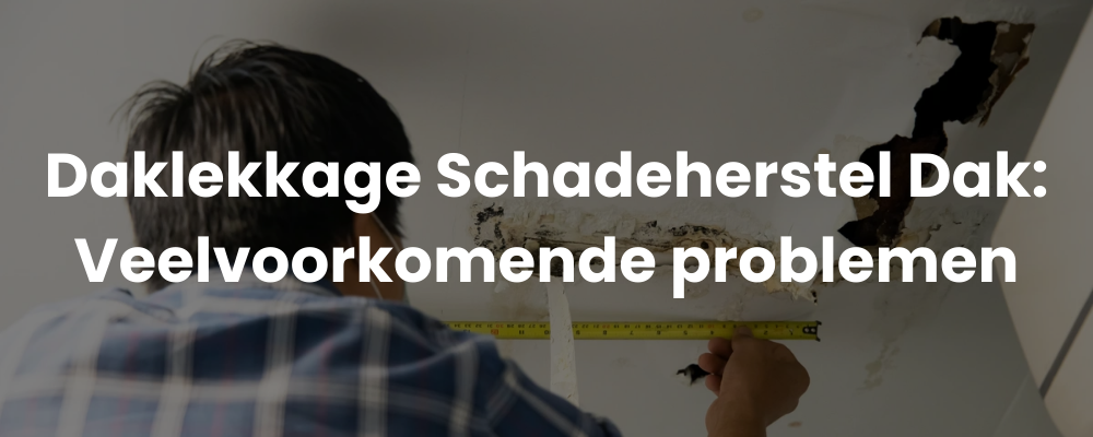 Daklekkage Schadeherstel Dak: Veelvoorkomende problemen