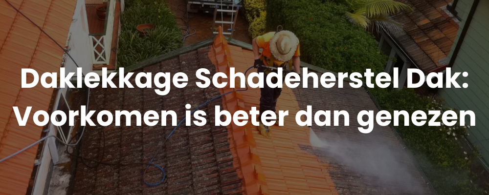 Daklekkage Schadeherstel Dak: Dak inspectie en onderhoud