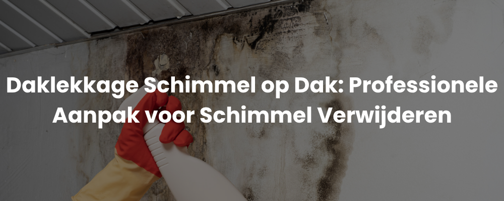 Daklekkage Schimmel op Dak: Neem Vandaag Nog Actie