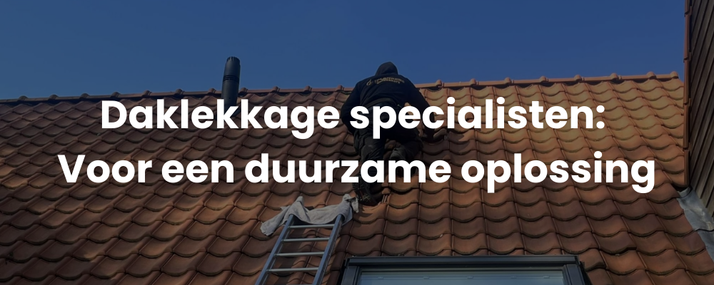 Daklekkage specialisten: Voor een duurzame oplossing