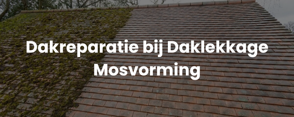 Dakreparatie bij Daklekkage Mosvorming