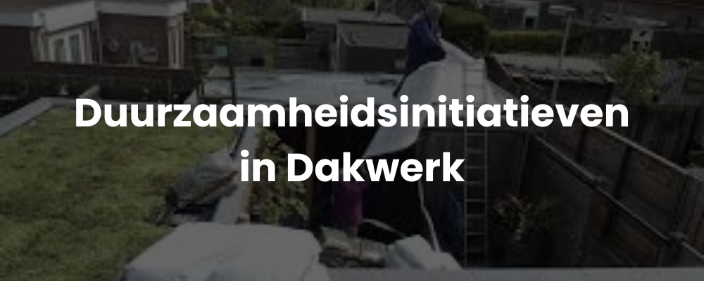 Duurzaamheidsinitiatieven in Dakwerk