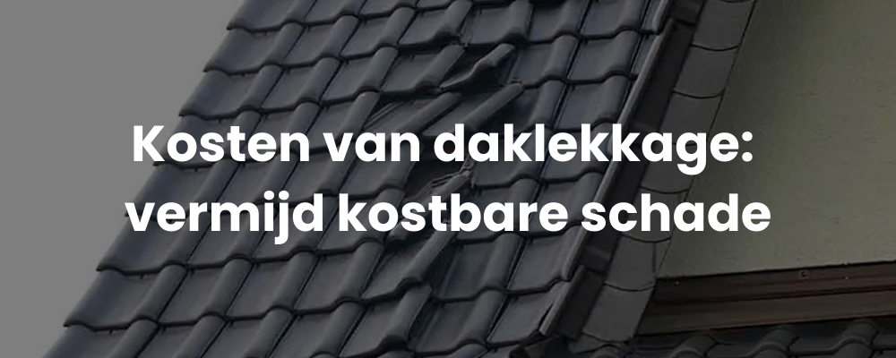 Kosten van daklekkage: vermijd kostbare schade 
