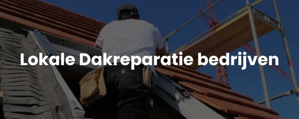 Lokale Dakreparatie bedrijven