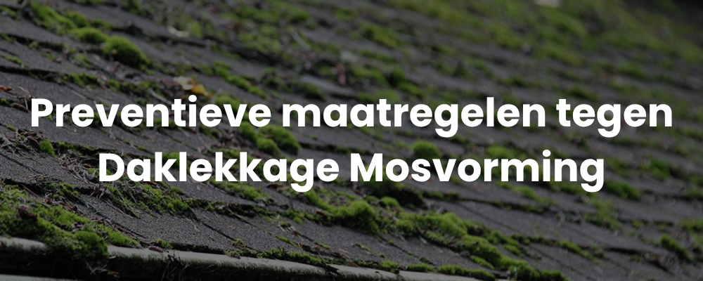 Preventieve maatregelen tegen Daklekkage Mosvorming