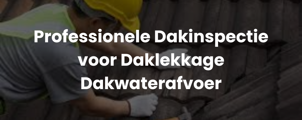 Professionele Dakinspectie voor Daklekkage Dakwaterafvoer