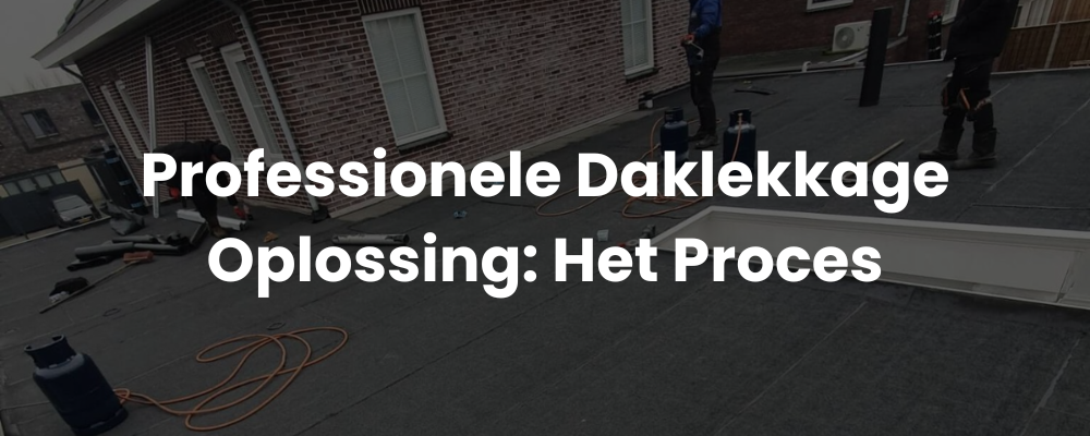 Professionele Daklekkage Oplossing: Het Proces