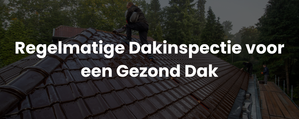 Regelmatige Dakinspectie voor een Gezond Dak