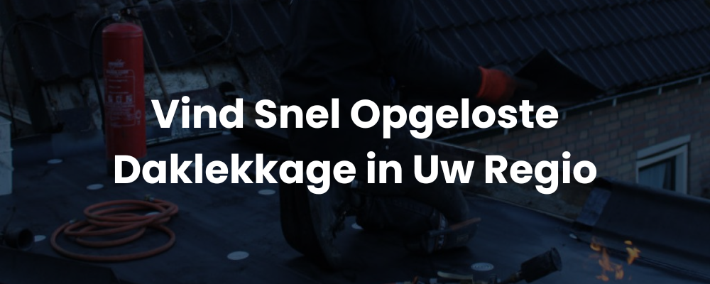 Vind Snel Opgeloste Daklekkage in Uw Regio