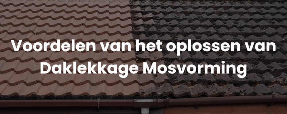 Voordelen van het oplossen van Daklekkage Mosvorming
