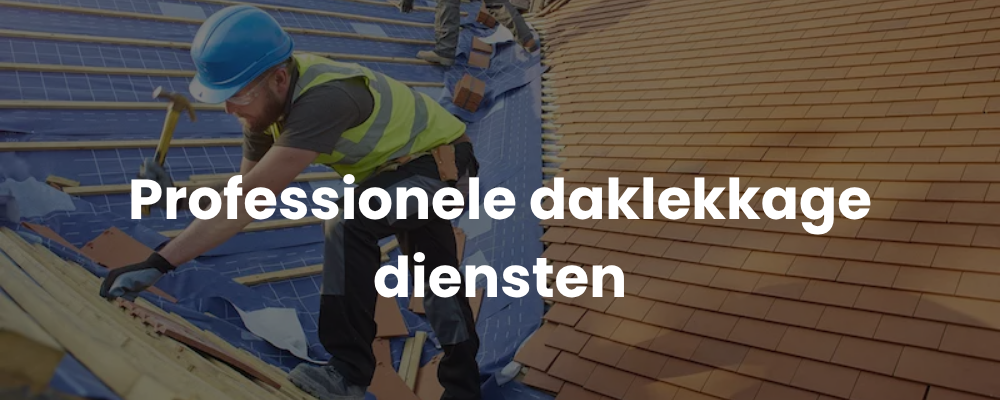 Professionele daklekkage diensten