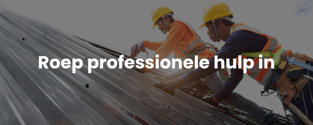 Roep professionele hulp in