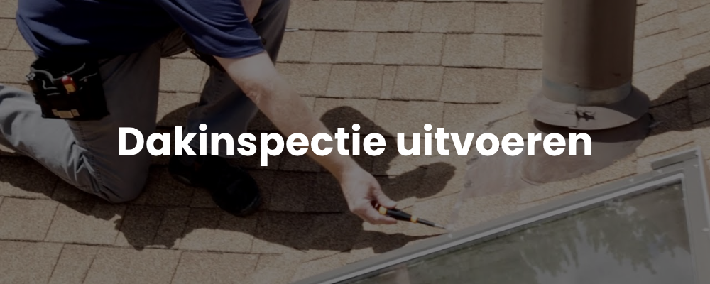 Dakinspectie uitvoeren