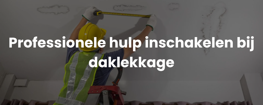 Professionele hulp inschakelen bij daklekkage