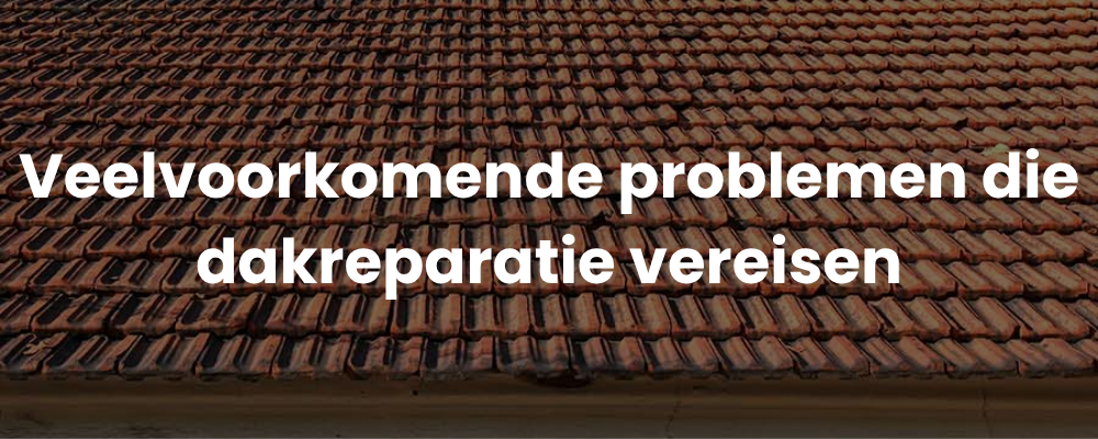 Veelvoorkomende problemen die dakreparatie vereisen