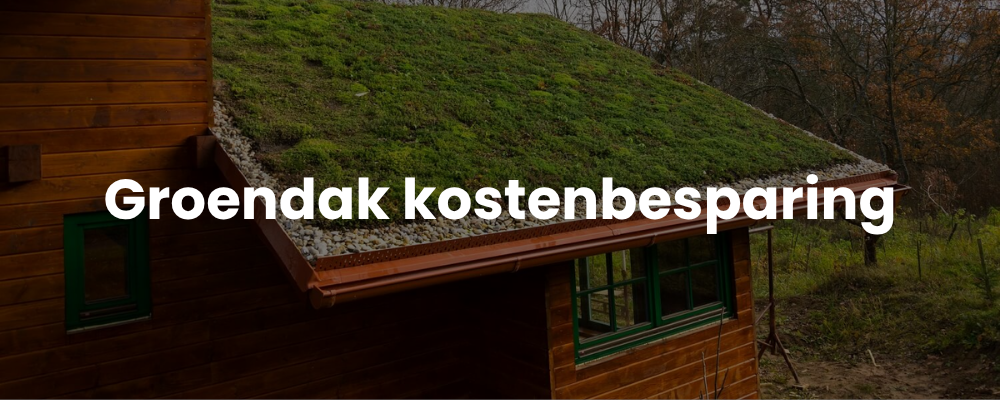 Groendak kostenbesparing Groendak kostenbesparing