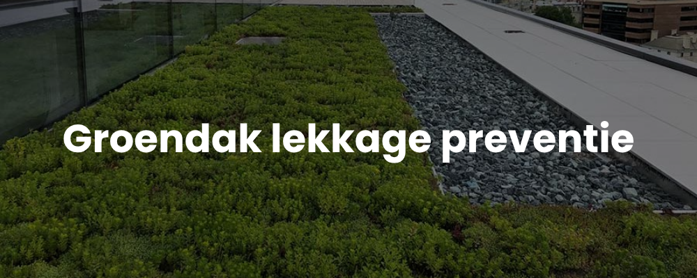 Groendak lekkage preventie Groendak lekkage preventie