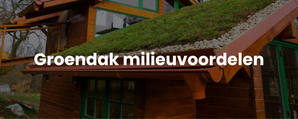 Groendak milieuvoordelen Groendak milieuvoordelen