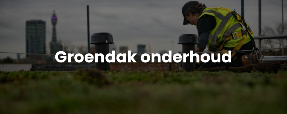 Groendak onderhoud Groendak onderhoud