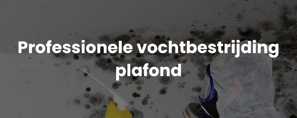 Professionele vochtbestrijding plafond Professionele vochtbestrijding plafond
