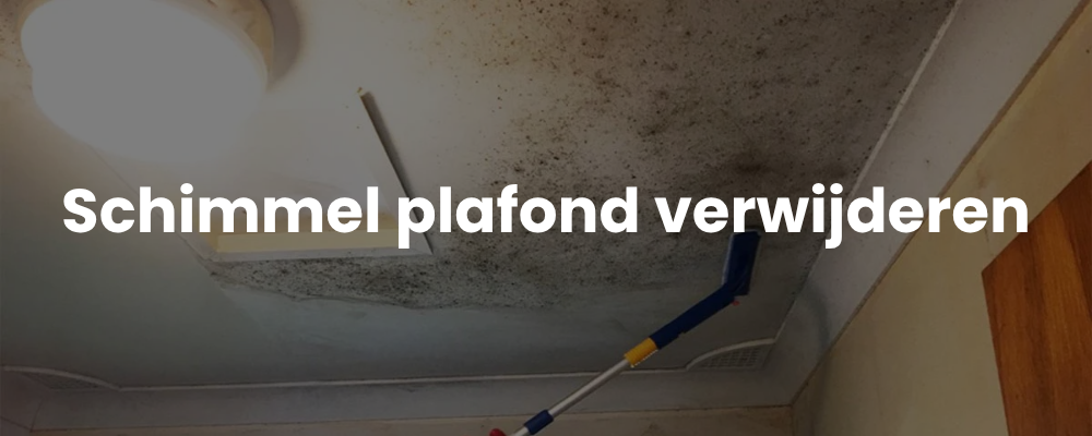 Schimmel plafond verwijderen Schimmel plafond verwijderen