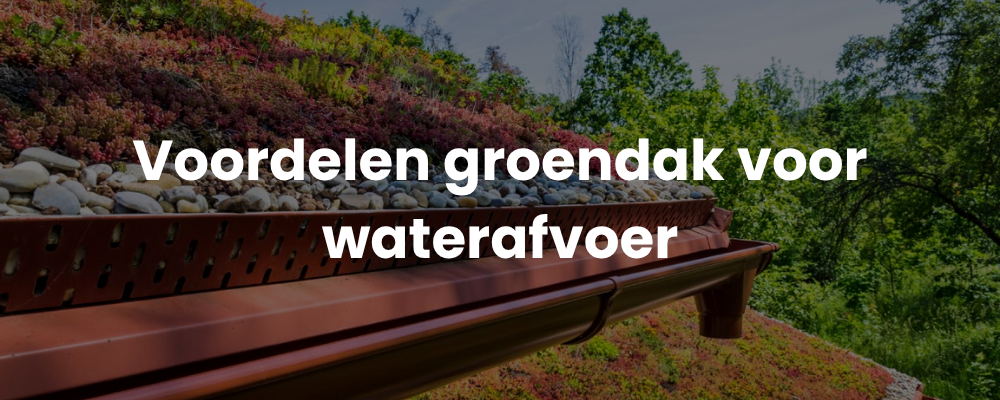 Voordelen groendak voor waterafvoer Voordelen groendak voor waterafvoer