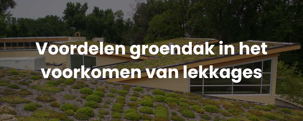 Voordelen groendak in het voorkomen van lekkages Voordelen groendak in het voorkomen van lekkages