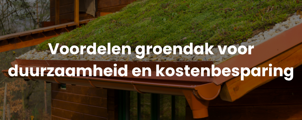 Voordelen groendak voor duurzaamheid en kostenbesparing Voordelen groendak voor duurzaamheid en kostenbesparing