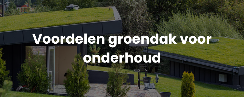 Voordelen groendak voor onderhoud Voordelen groendak voor onderhoud