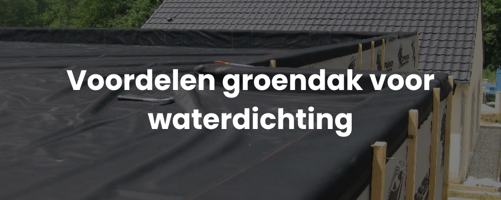 Voordelen groendak voor waterdichting Voordelen groendak voor waterdichting