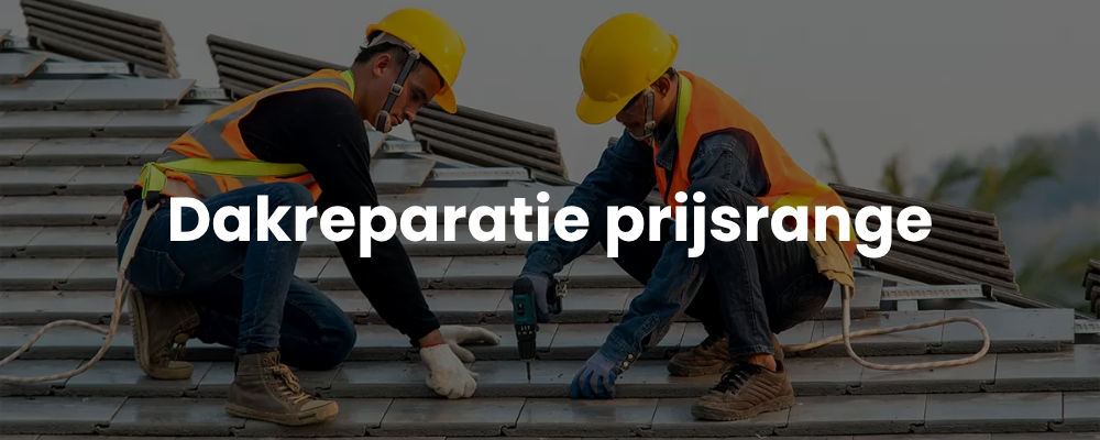 Dakreparatie prijsrange