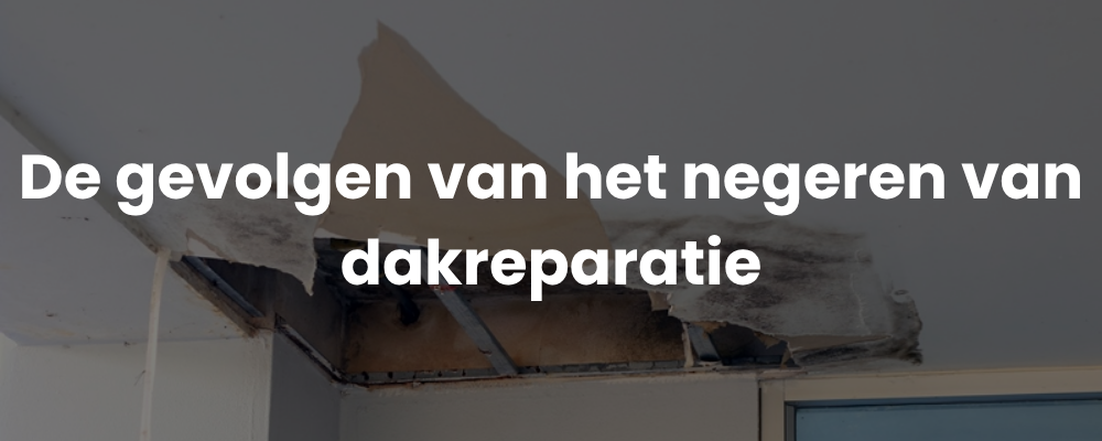 De gevolgen van het negeren van dakreparatie