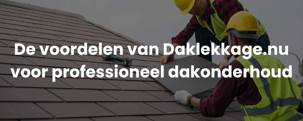 De voordelen van Daklekkage.nu voor professioneel dakonderhoud