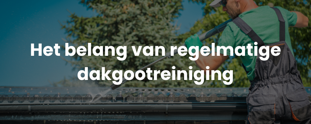Het belang van regelmatige dakgootreiniging