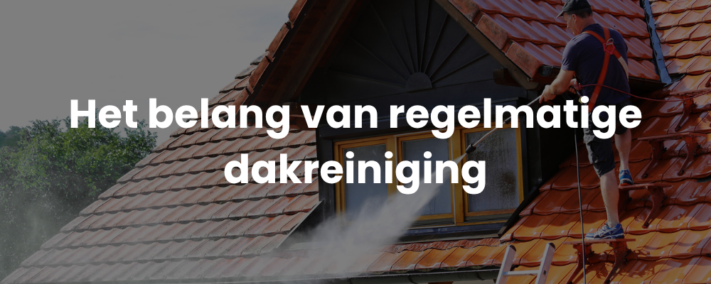 Het belang van regelmatige dakreiniging