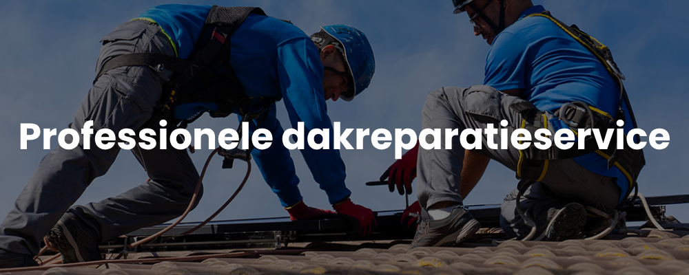Professionele dakreparatieservice
