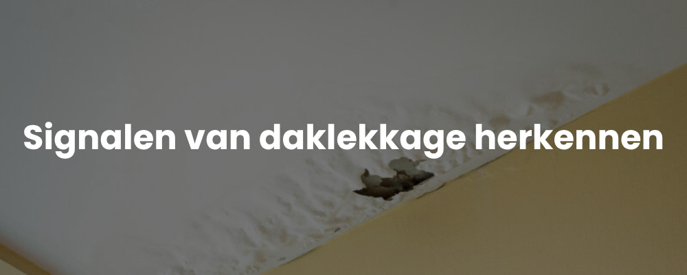 Signalen van daklekkage herkennen