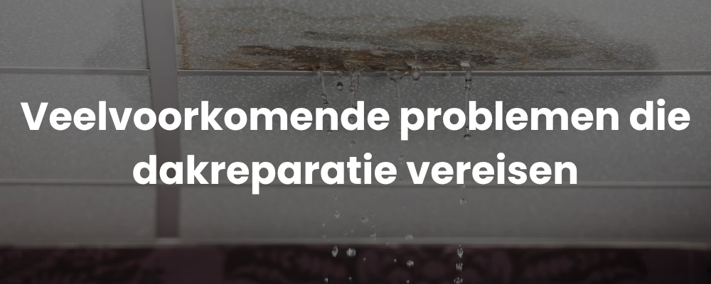 Veelvoorkomende problemen die dakreparatie vereisen