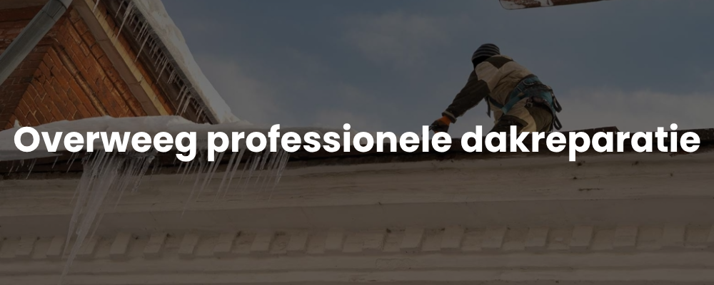 Overweeg professionele dakreparatie