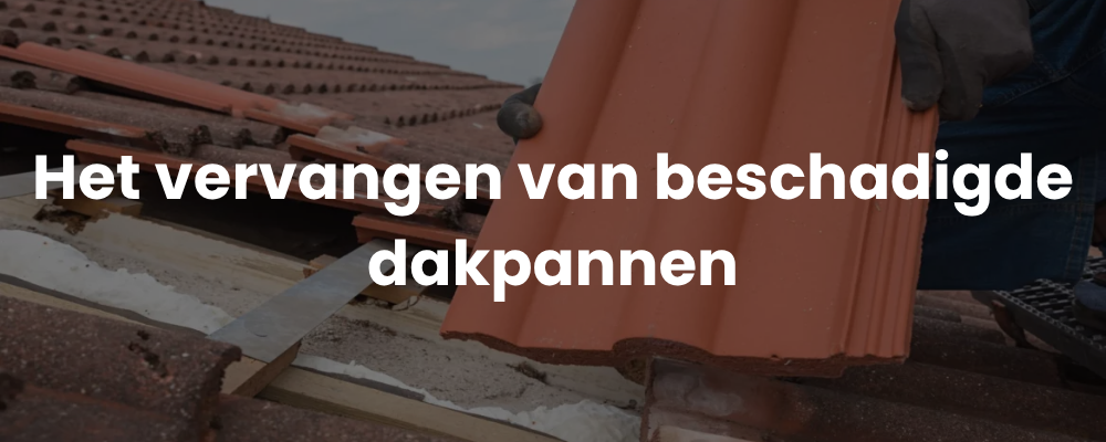 Het vervangen van beschadigde dakpannen Het vervangen van beschadigde dakpannen