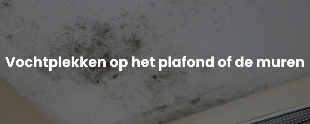 Vochtplekken op het plafond of de muren
