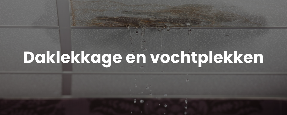 Daklekkage en vochtplekken Daklekkage en vochtplekken