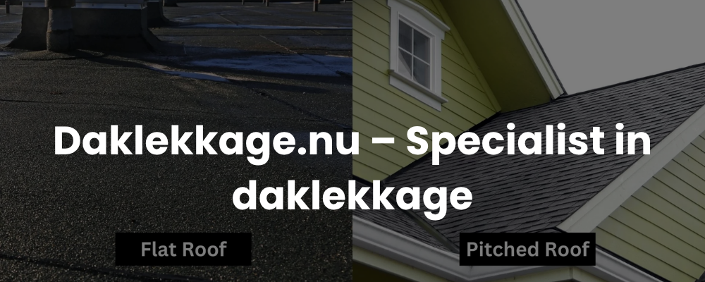 Daklekkage.nu - Specialist in daklekkage