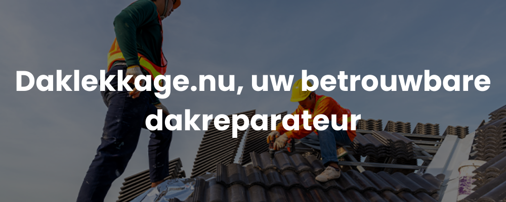 Daklekkage.nu, uw betrouwbare dakreparateur