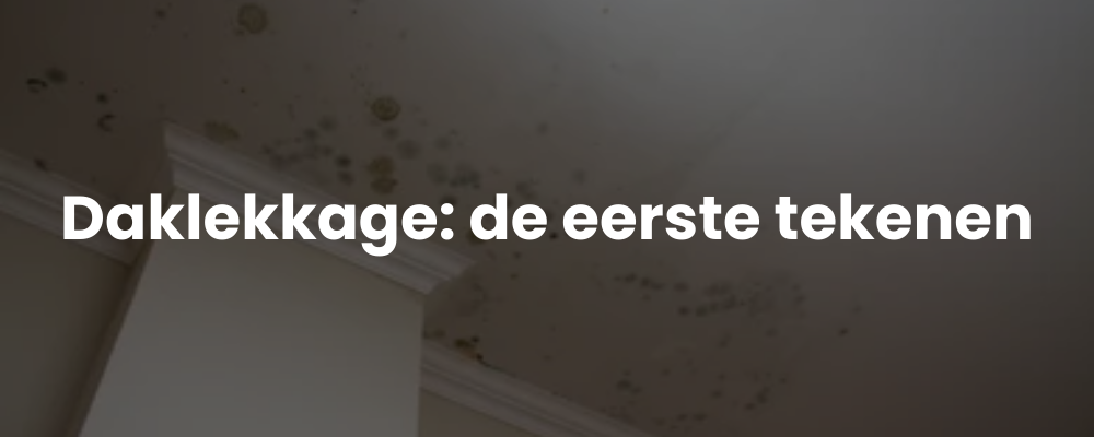 Daklekkage: de eerste tekenen Daklekkage: de eerste tekenen